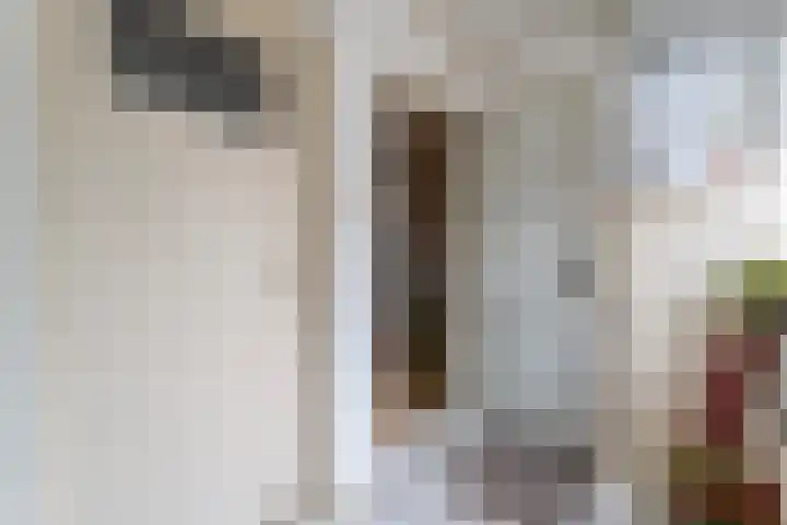 Gouden Regenstraat 14 Lutten thumbnail 19