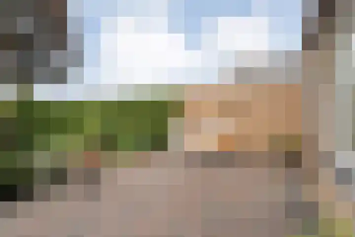 Gouden Regenstraat 14 Lutten thumbnail 25