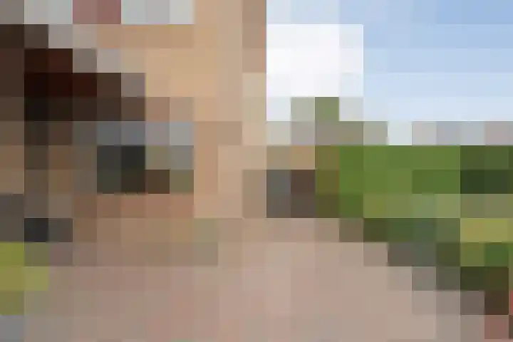 Gouden Regenstraat 14 Lutten thumbnail 26