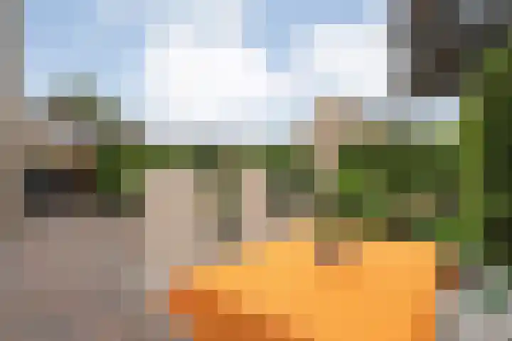 Gouden Regenstraat 14 Lutten thumbnail 28