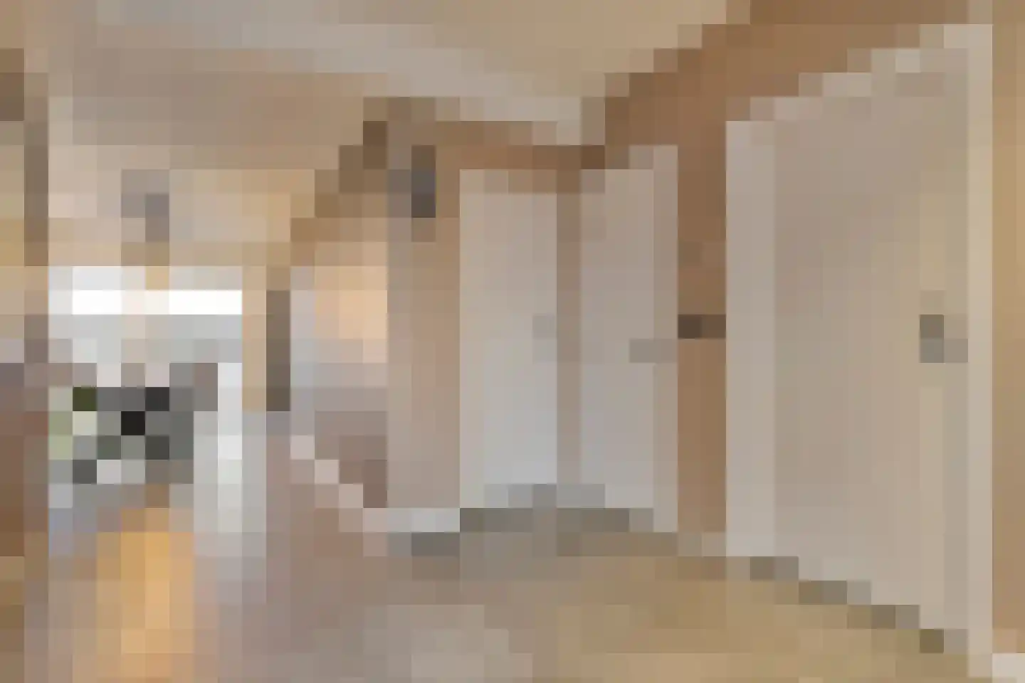 Gouden Regenstraat 3 Lutten thumbnail 15