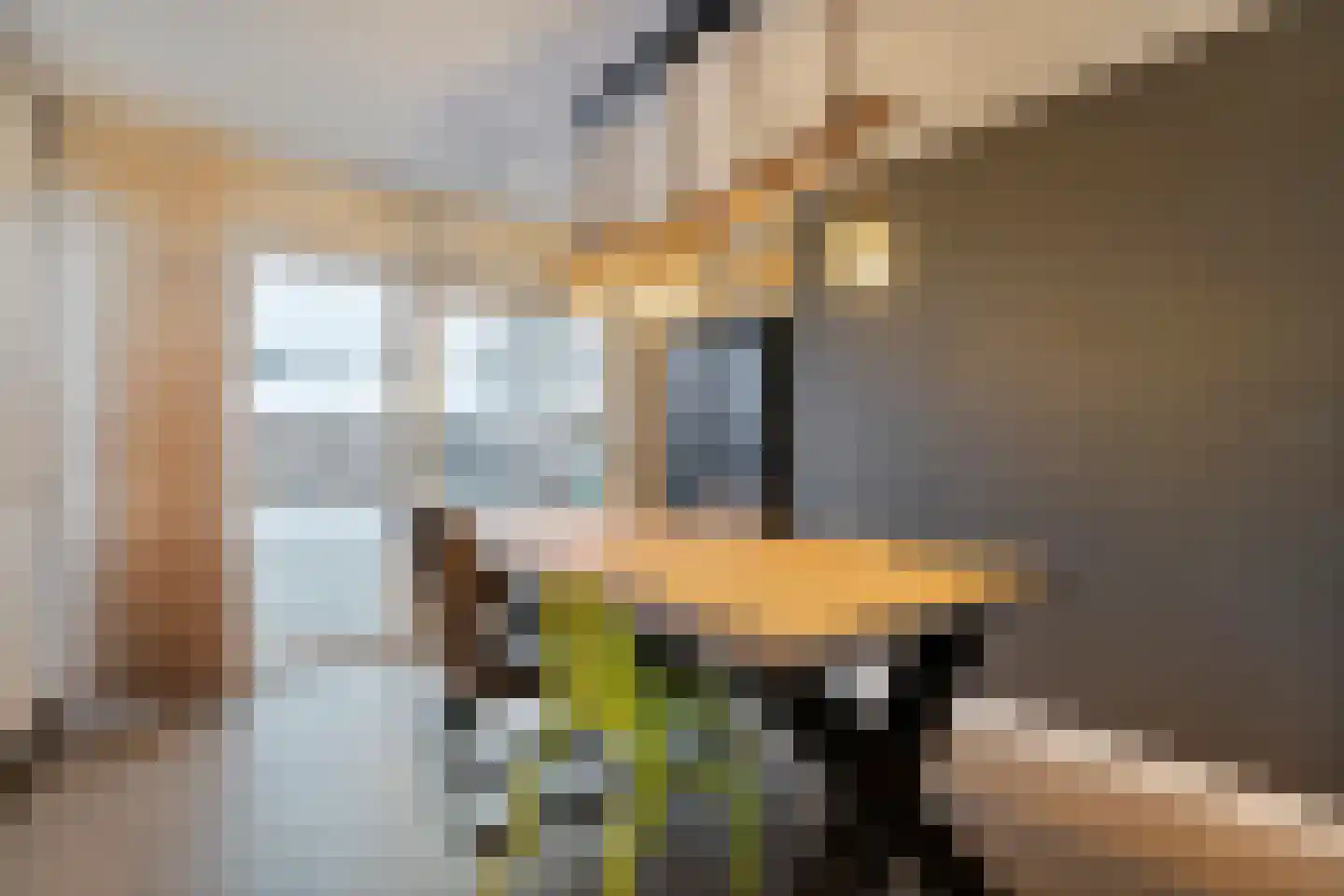 Gouden Regenstraat 3 Lutten thumbnail 16