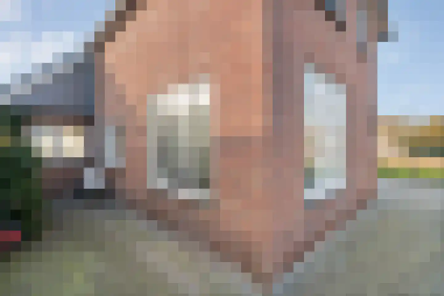Gouden Regenstraat 3 Lutten thumbnail 7