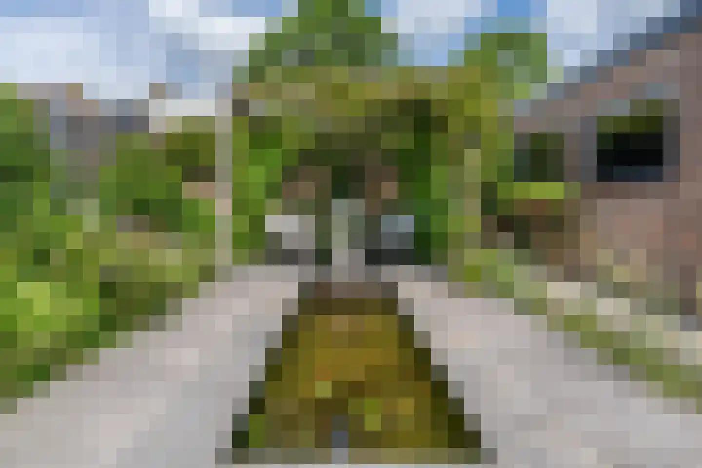 Gouden Regenstraat 50 Sint-Michielsgestel thumbnail 29