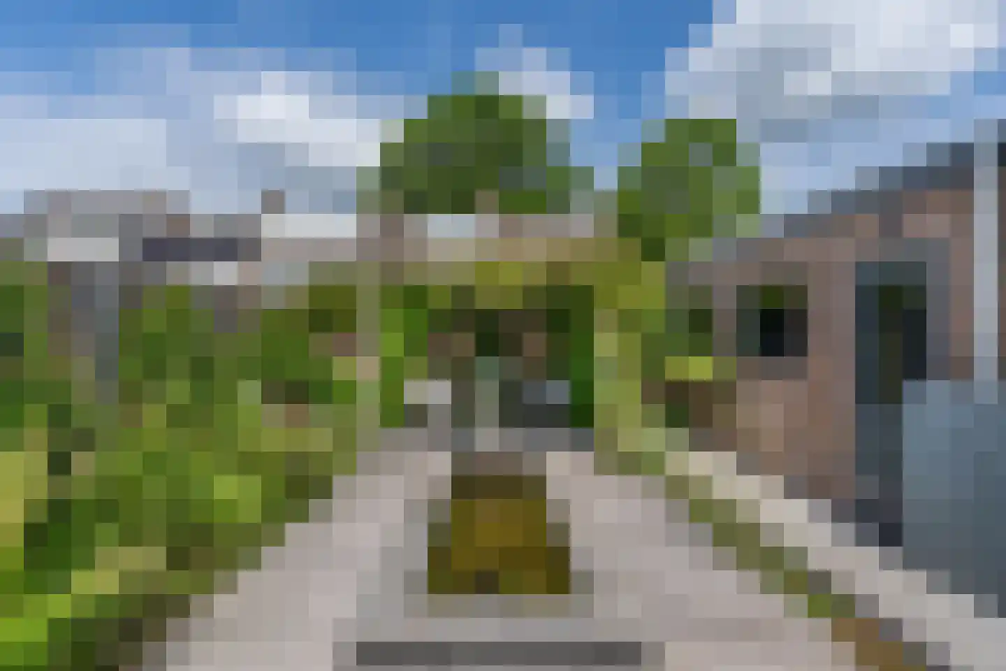 Gouden Regenstraat 50 Sint-Michielsgestel thumbnail 30