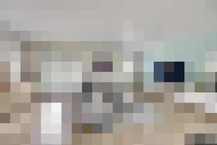 Gouden Rijder 10 Dronten thumbnail 14
