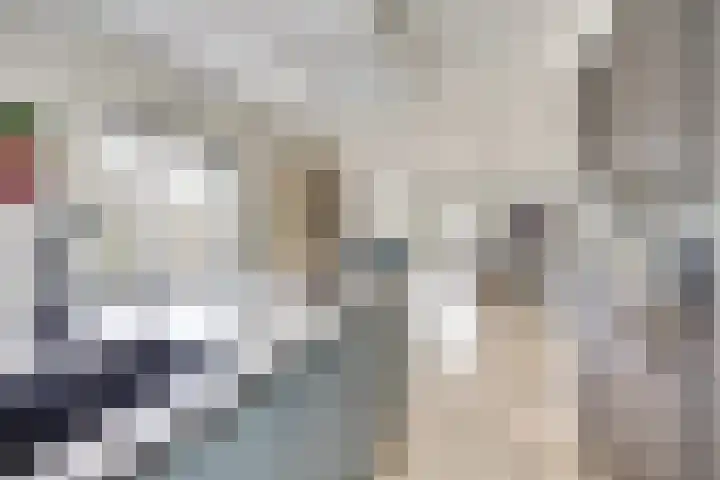 Gouden Rijder 10 Dronten thumbnail 18