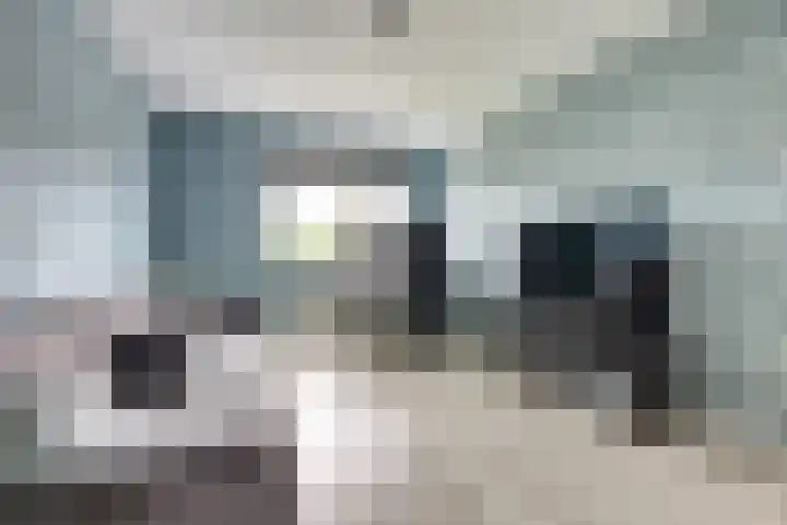 Gouden Rijder 10 Dronten thumbnail 28