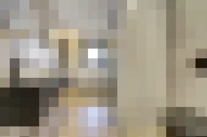 Gouden Rijder 10 Dronten thumbnail 30