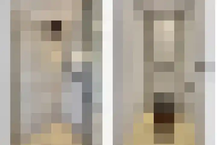 Gouden Rijder 10 Dronten thumbnail 32