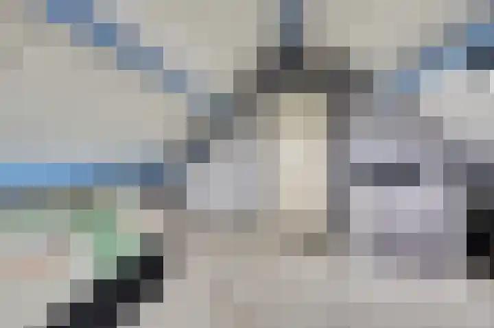 Gouden Rijder 10 Dronten thumbnail 39