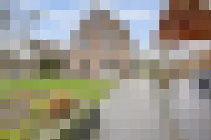 Gouden Rijder 10 Dronten thumbnail 41