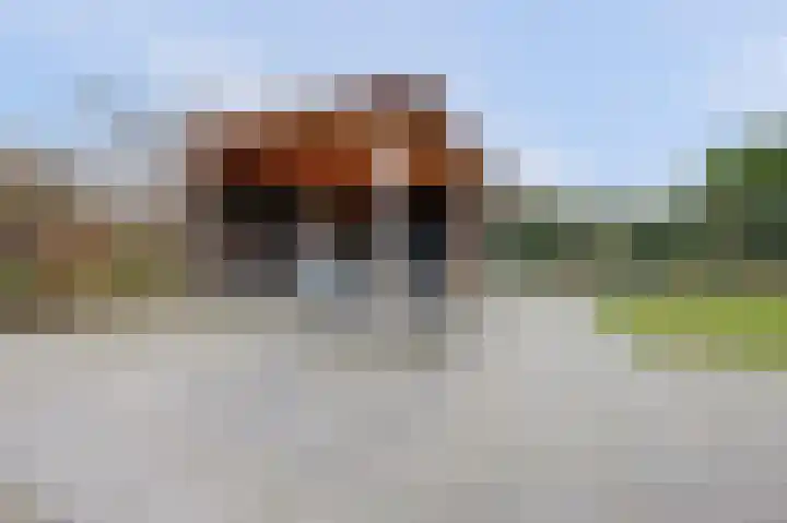 Gouden Rijder 10 Dronten thumbnail 42