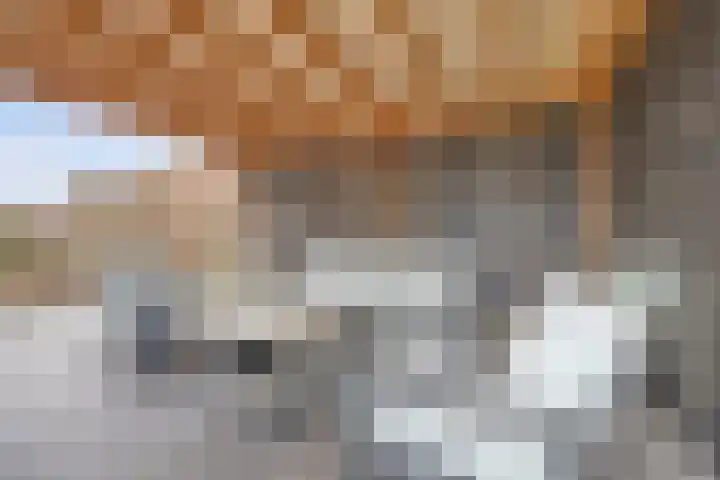 Gouden Rijder 10 Dronten thumbnail 43