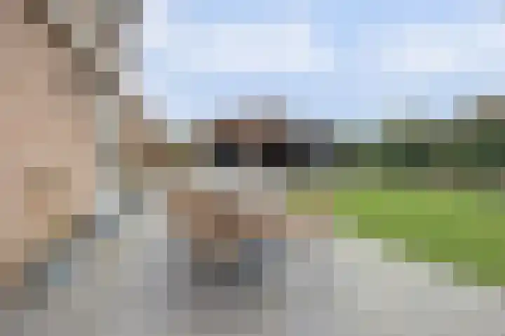 Gouden Rijder 10 Dronten thumbnail 44