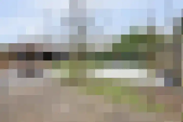 Gouden Rijder 10 Dronten thumbnail 45