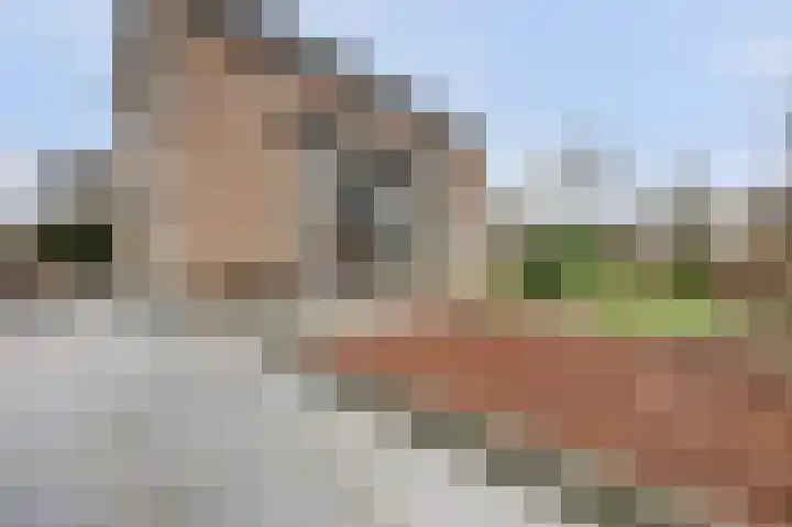 Gouden Rijder 10 Dronten thumbnail 47