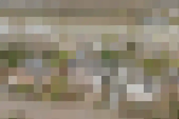 Gouden Rijder 10 Dronten thumbnail 48