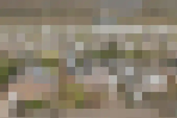 Gouden Rijder 10 Dronten thumbnail 49