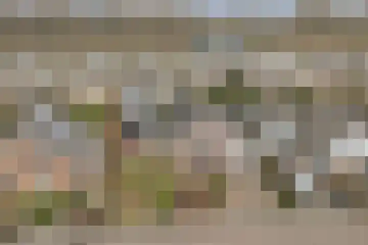 Gouden Rijder 10 Dronten thumbnail 50
