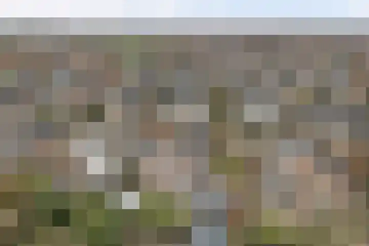 Gouden Rijder 10 Dronten thumbnail 51