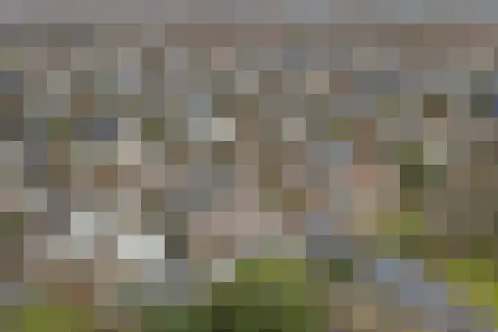 Gouden Rijder 10 Dronten thumbnail 52