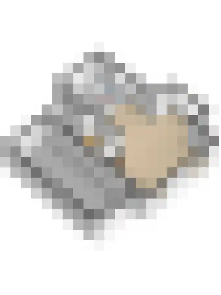 Gouden Rijder 10 Dronten thumbnail 59
