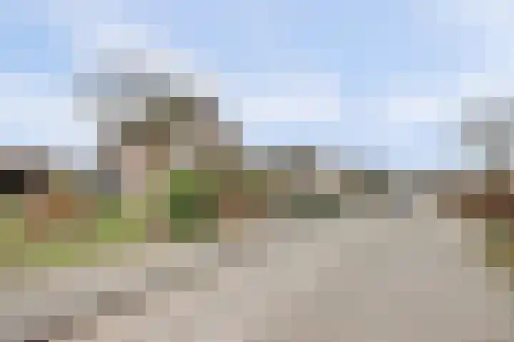 Gouden Rijder 10 Dronten thumbnail 6