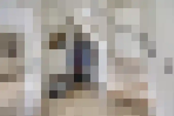 Gouden Rijder 10 Dronten thumbnail 8