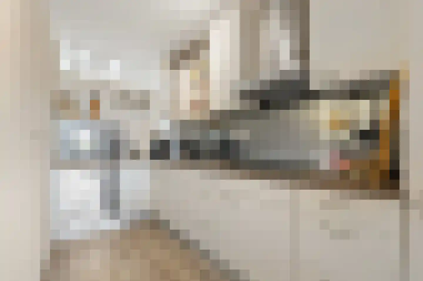 Gouden Rijderplein 43 Delfgauw thumbnail 22