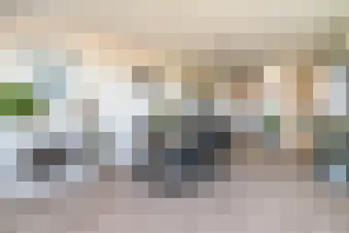 Gouden Rijderplein 45 Delfgauw thumbnail 8