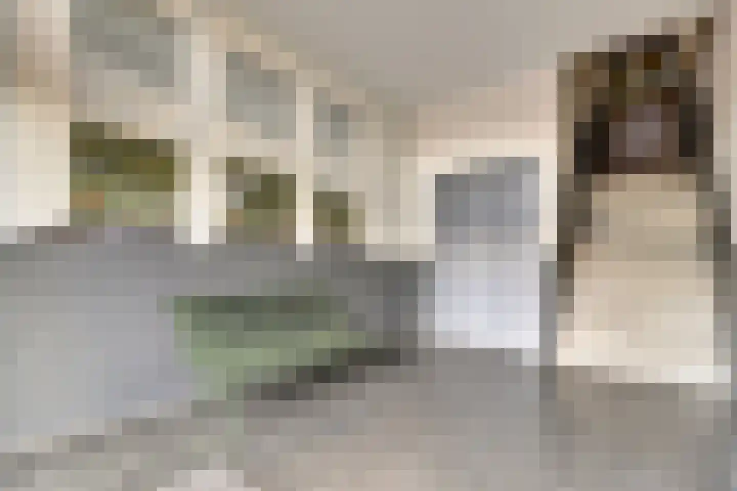 Gouden Rijderplein 83 Delfgauw thumbnail 6