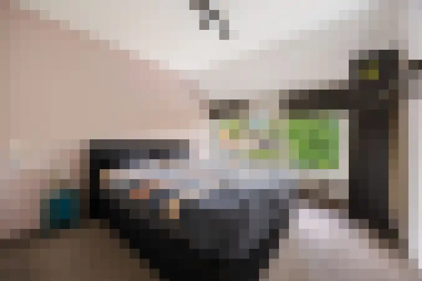 Gouden Torrenstraat 24 Nijmegen thumbnail 22