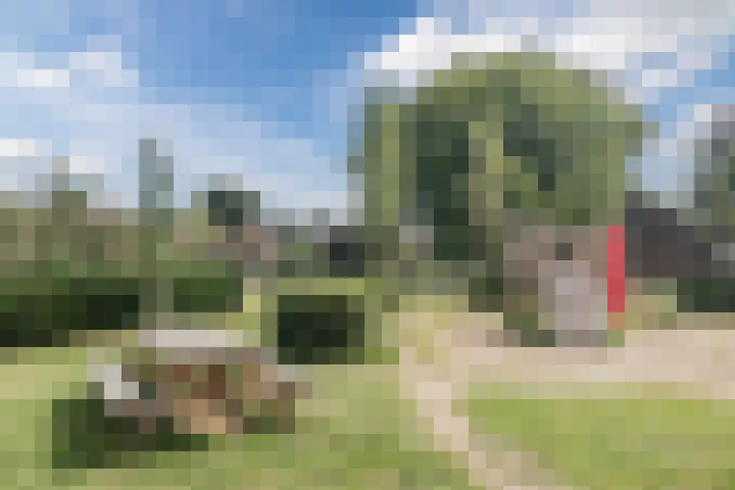 Gouden Torrenstraat 8 Nijmegen thumbnail 7