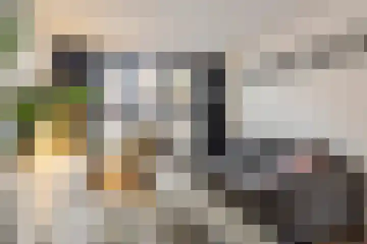 Goudenakkerstraat 11 Veldhoven thumbnail 12