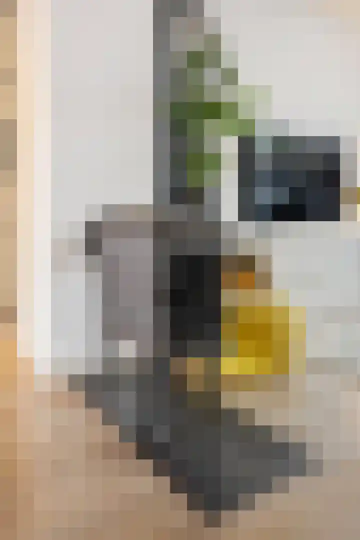 Goudenakkerstraat 11 Veldhoven thumbnail 13