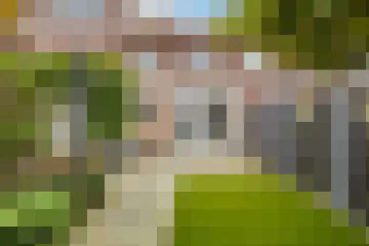 Goudenakkerstraat 11 Veldhoven thumbnail 6