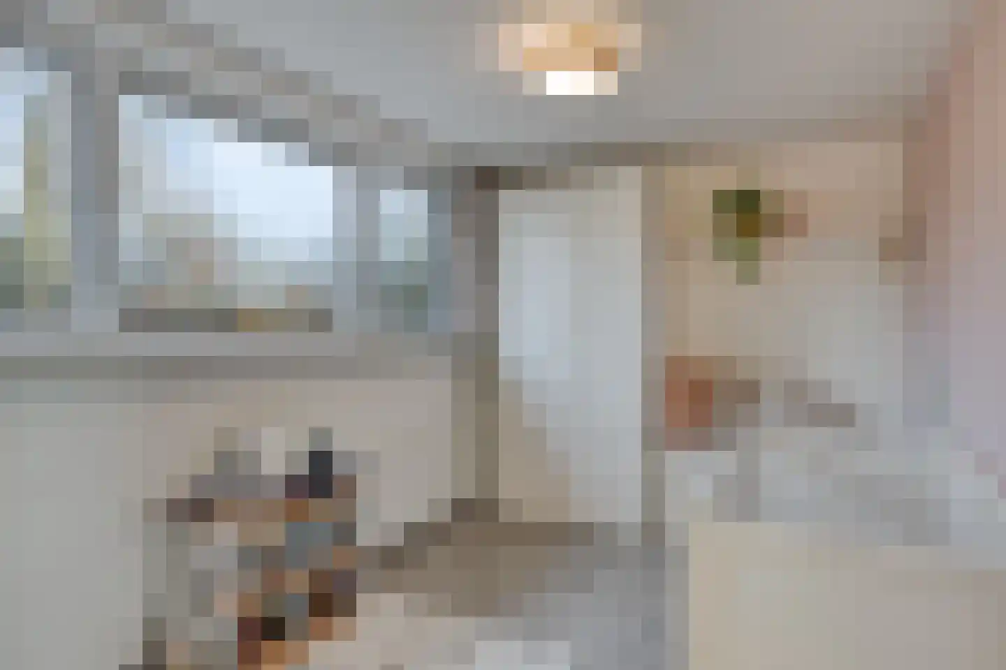 Goudenakkerstraat 13 Veldhoven thumbnail 23