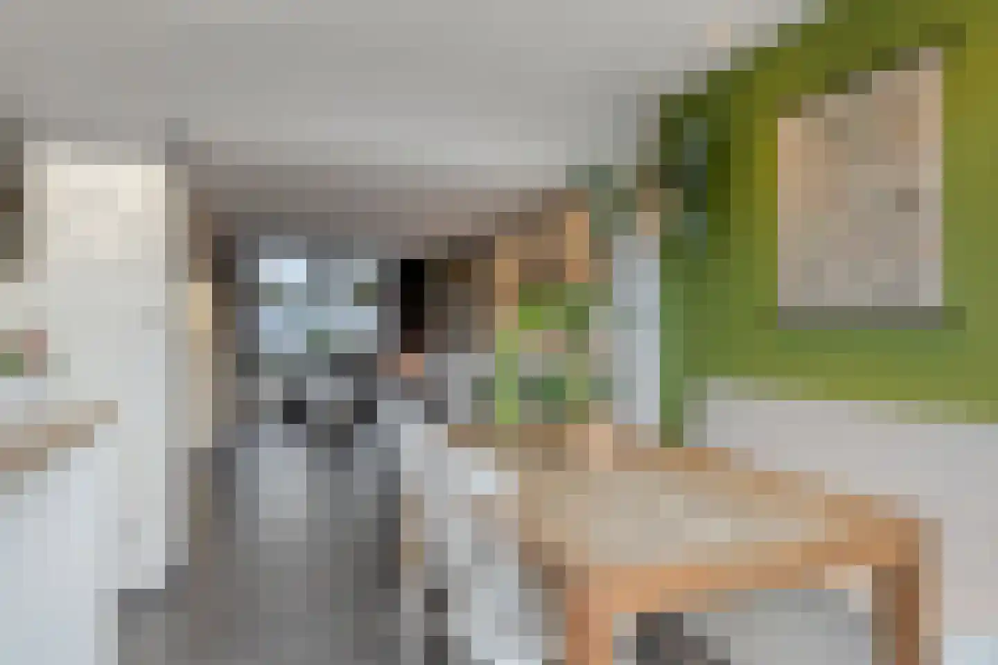 Goudenakkerstraat 13 Veldhoven thumbnail 6