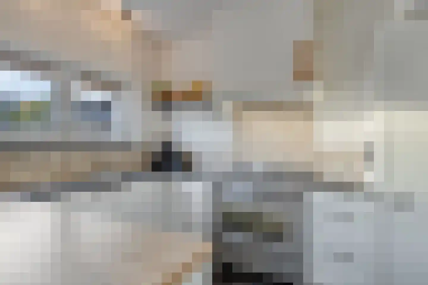 Goudenakkerstraat 13 Veldhoven thumbnail 8