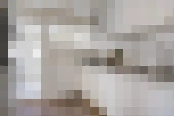 Goudenakkerstraat 6 Veldhoven thumbnail 10