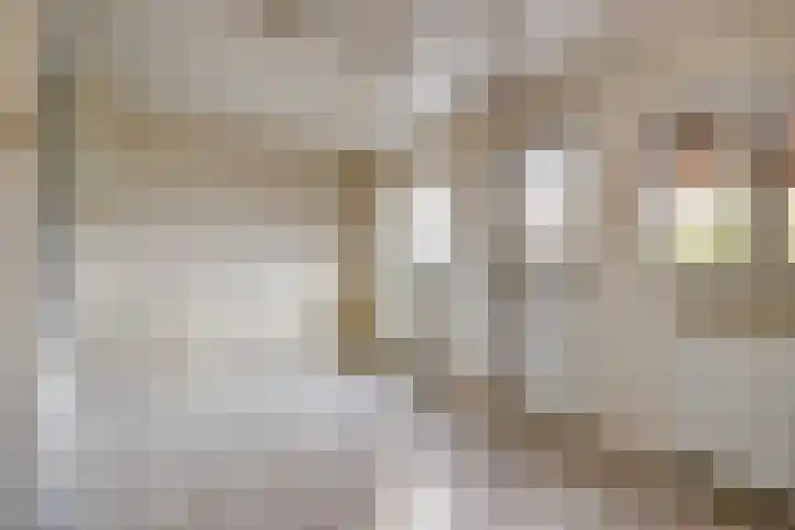 Goudenakkerstraat 6 Veldhoven thumbnail 15