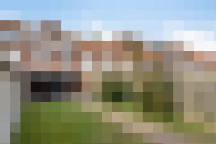 Goudenakkerstraat 6 Veldhoven thumbnail 20