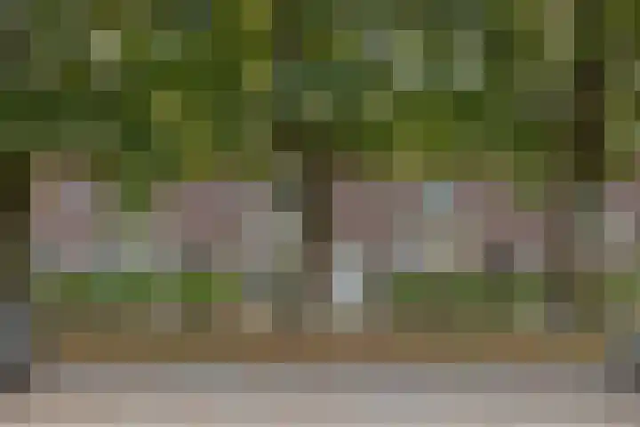 Goudenakkerstraat 6 Veldhoven thumbnail 32