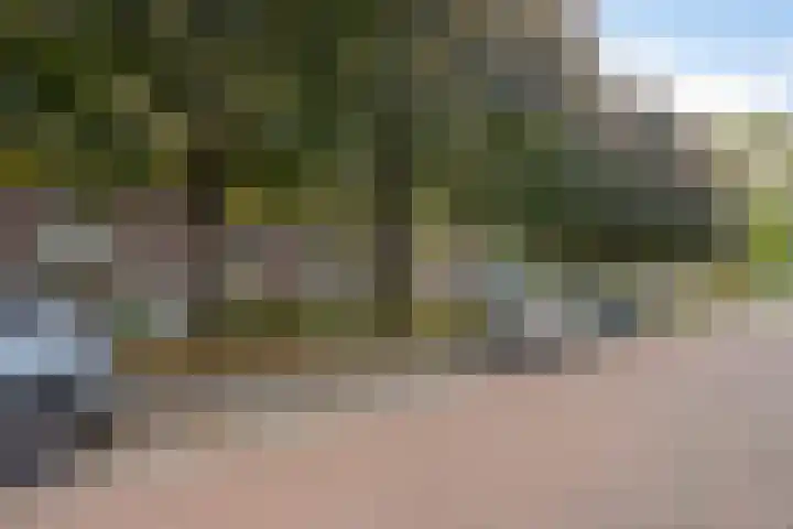 Goudenakkerstraat 6 Veldhoven thumbnail 33