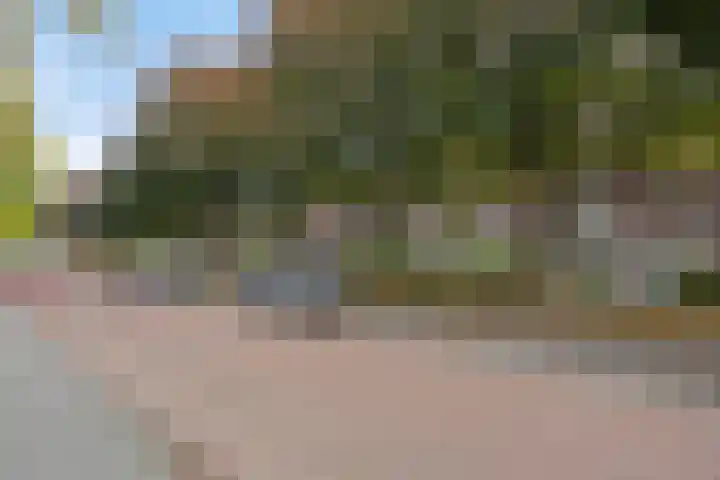 Goudenakkerstraat 6 Veldhoven thumbnail 6