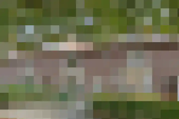 Goudenakkerstraat 6 Veldhoven thumbnail 7
