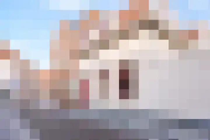 Goudenbloemstraat 1 Bergen op Zoom thumbnail 18