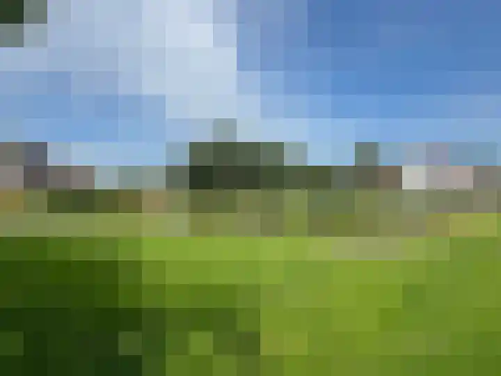Goudenregen 15 Coevorden thumbnail 11