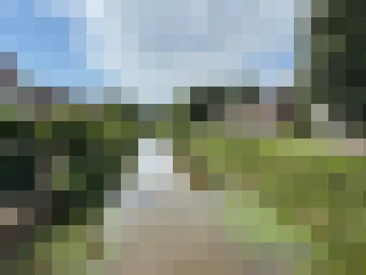 Goudenregen 15 Coevorden thumbnail 12